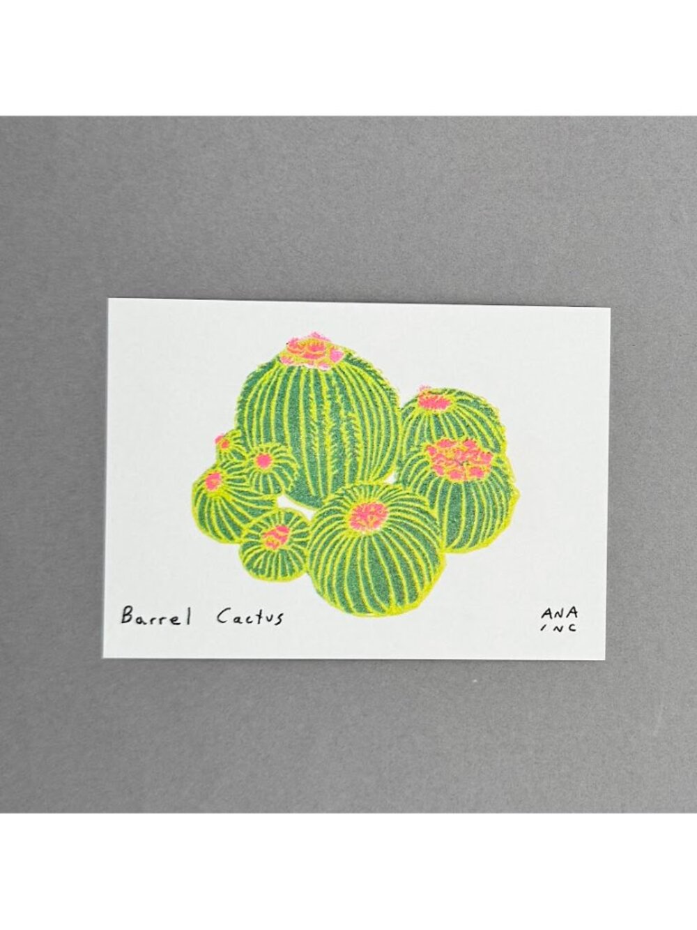 Ana Inciardi Barrel Cactus Mini Art Print